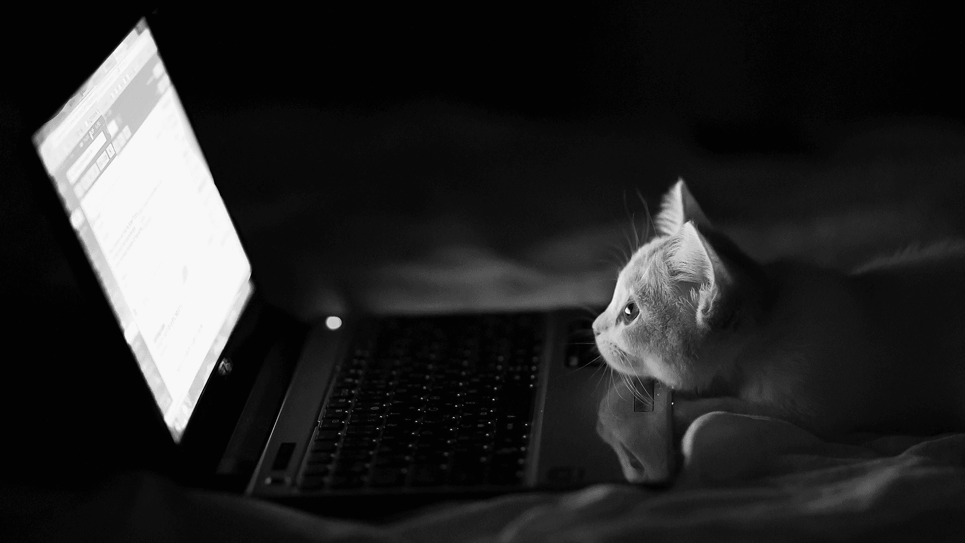 Laptops Cleaned Dataset (India, 2025)